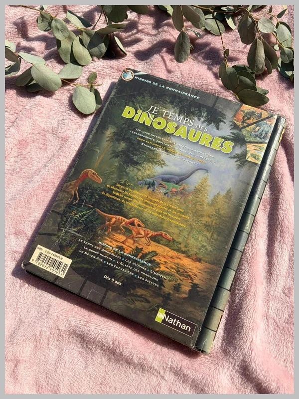 Livro documentário interativo: O tempo dos dinossauros - Nathan <3 – photo 4